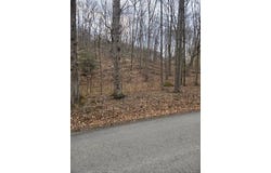 2185 Little Sand Run Road, Buckhannon, WV 26201