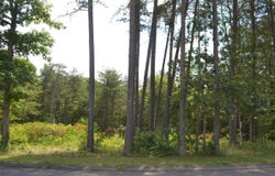 0 Countryside Drive, Dunlap, TN 37327