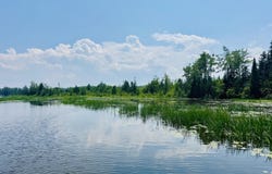 Macey Lane, Alpena, MI 49707