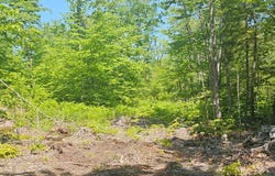 18b Isaac Stevens Road, Bridgton, ME 04009