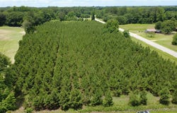 NC HWY. 904, Fairmont, NC 28340
