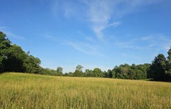 002 Tomahawk Slab Road, Saint Joe, AR 72675