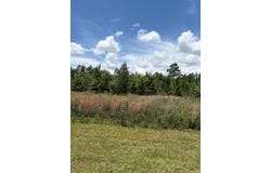 6004 Broken Arrow Drive, Donalsonville, GA 39845
