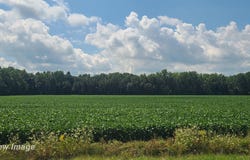 VL W Birch Run, Burt, MI 48614