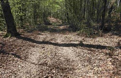 Shawmut Road, Murfreesboro, AR 71958