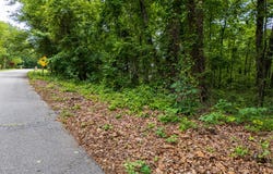 3.26 Acres Mountain Ridge, Manchester, GA 31816