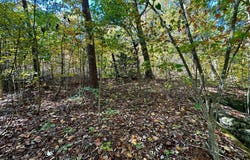 Lot 46 Honey Springs Rd, Crawford, TN 38554