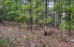 123 E Bolen Hollow W, Pittsburg, OK 74560
