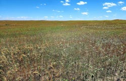 TBD Road 7W, Kimball, NE 69128