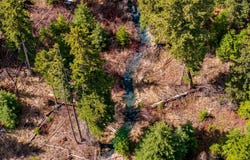 1583 Wild Bill Road lot: 4, Kila, MT 59920