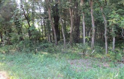 105TH AVENUE, PULLMAN, MI 49450
