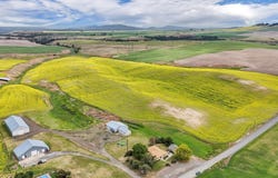 50169 Bergeron Rd E Rd, Reardan, WA 99029
