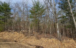 Lot 20.22 Woods Rd, Highland, NY 12719