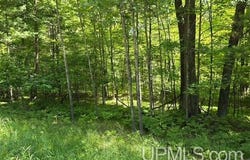 TBD Quinnesec Lake Antoine, Iron Mountain, MI 49801