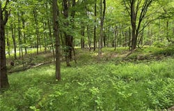 Thornton Road, Charlotte, NY 14782