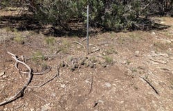 Parkview Hills Lot 28, Rutheron, NM 87551