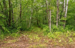 11792 State Hwy 23, Brook Park, MN 55007