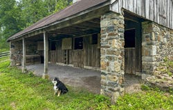 1525 HOLLOW RD, CHESTER SPRINGS, PA 19425