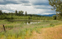 4110 Cemetery Rd, Springdale, WA 99137