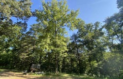 42 Dusty Trail, Story, AR 71970
