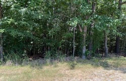 25 Elcano Drive, Hot Springs Village, AR 71909