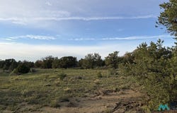 89 Ponderosa Views Loop, Pie Town, NM 87827