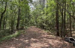 27 Acres W S Highway 17, Townsend, GA 31331