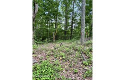 Prettiest Sunset Lot #5 Way, Seymour, TN 37865