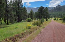 Cr N2276, Nutrioso, AZ 85932