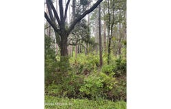 S 315/ KENWOOD, Interlachen, FL 32148