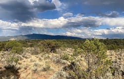 308 Happy Trail, Montrose, CO 81403