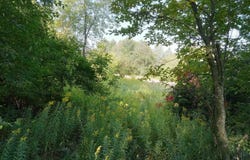 On Penokee, Ironwood, MI 49938