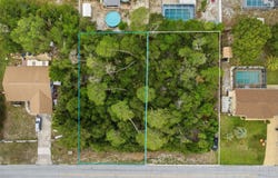 6019 FREEPORT DRIVE, SPRING HILL, FL 34606
