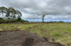 LAUKO RD, Mountain View, HI 96771