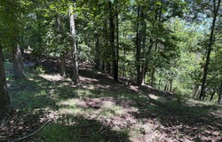 CORNWELL DRIVE lot: 24, ROMNEY, WV 26757