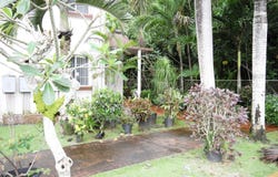 Adrain Sanchez-Hamberger Road, Tamuning, GU 96913