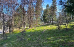 1390 LOOKOUT POINT WAY, KETTLE FALLS, WA 99141