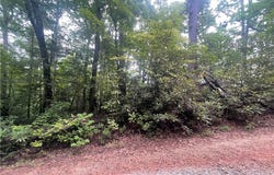 31 Evergreen Ridge Road, Tamassee, SC 29686