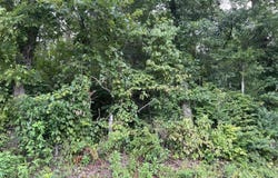 County Rd, Jamestown, TN 38556
