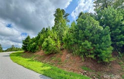 2039 Lake Vista Drive NE unit: 38, Connelly Springs, NC 28612