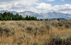 Lot 37 Sun West Ranch, Cameron, MT 59720