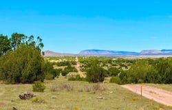 Dusty Rose Ranch Rd #A 16 Acre, Seligman, AZ 86337