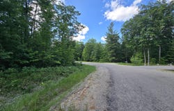 Crystal Lane lot: #56, Roscommon, MI 48653