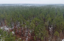 TBD  HWY 84 E, Kirby, AR 71921