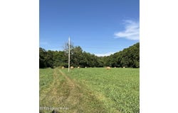 3397 Barebone Rd, Bedford, KY 40006