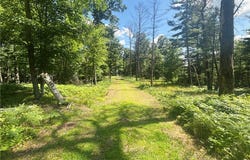 9 3/4 Avenue, Chetek, WI 54728
