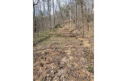 198 Turkey Town Road, Hilham, TN 38568