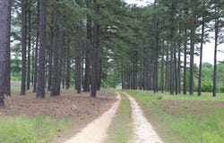 7534 County Road 17, Gordonsville, AL 36040