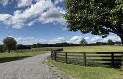 60 Acres Flatwoods Road, Nancy, KY 42544