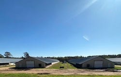 125 Columbia Road 51, Magnolia, AR 71753